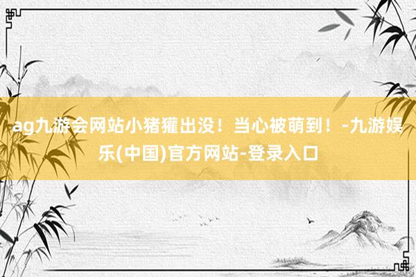 ag九游会网站小猪獾出没！当心被萌到！-九游娱乐(中国)官方网站-登录入口