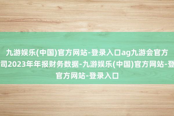 九游娱乐(中国)官方网站-登录入口ag九游会官方聚积公司2023年年报财务数据-九游娱乐(中国)官方网站-登录入口