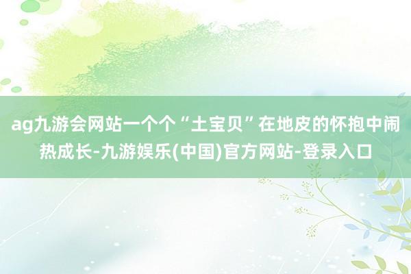 ag九游会网站一个个“土宝贝”在地皮的怀抱中闹热成长-九游娱乐(中国)官方网站-登录入口