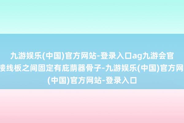 九游娱乐(中国)官方网站-登录入口ag九游会官方两个所述接线板之间固定有庇荫器骨子-九游娱乐(中国)官方网站-登录入口